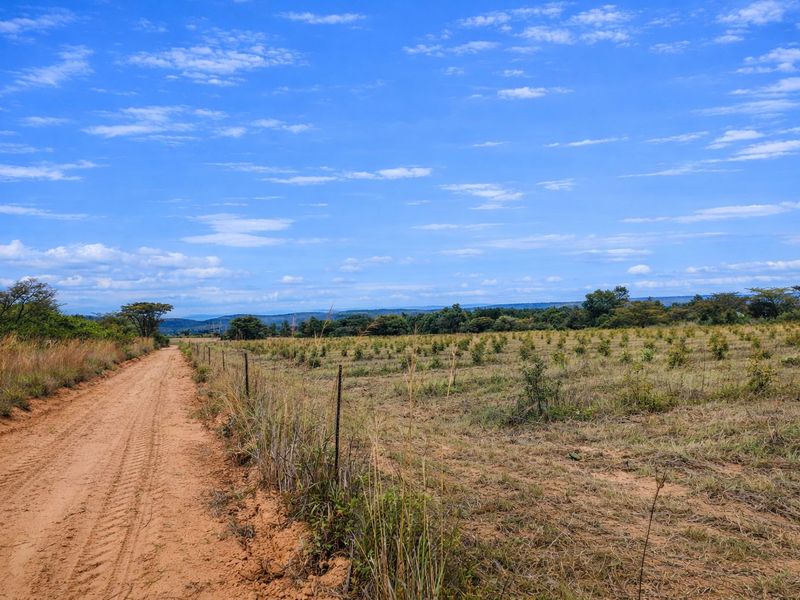 Lifestyle farm for sale - Photo 8