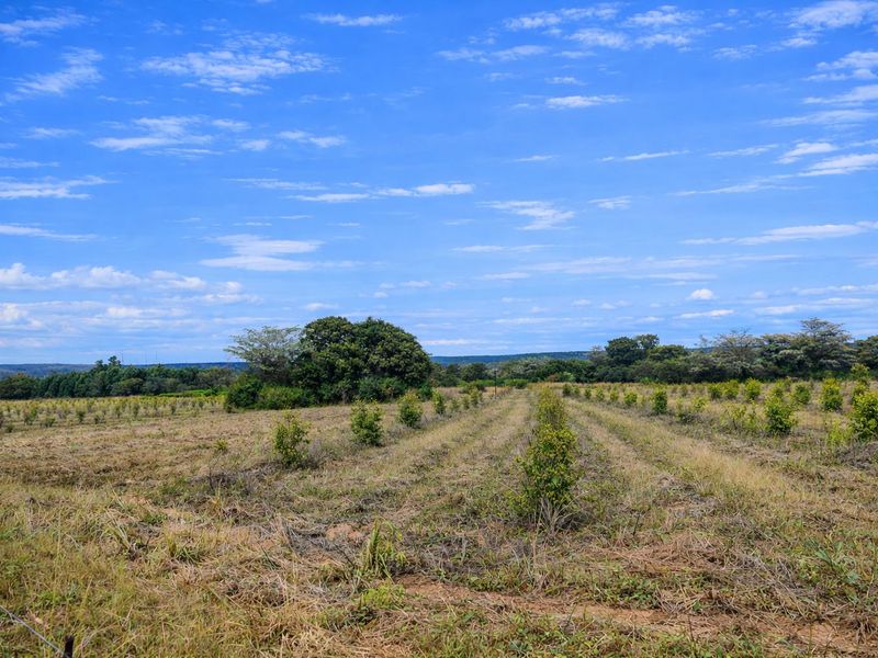 Lifestyle farm for sale - Photo 7