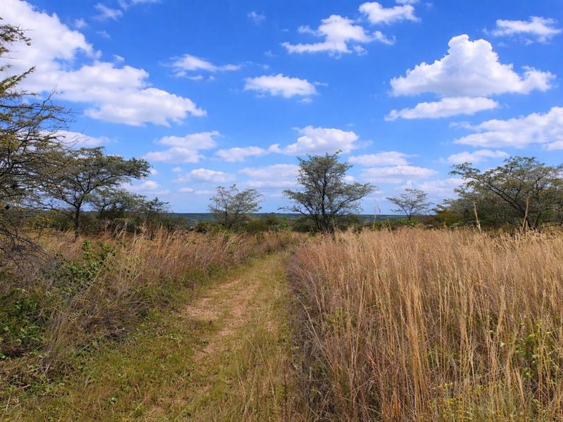 Lifestyle farm for sale - Photo 6
