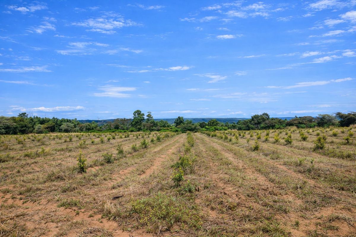 Lifestyle farm for sale - Photo 5