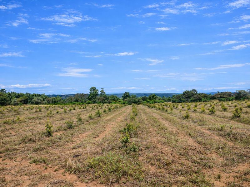 Lifestyle farm for sale - Photo 5