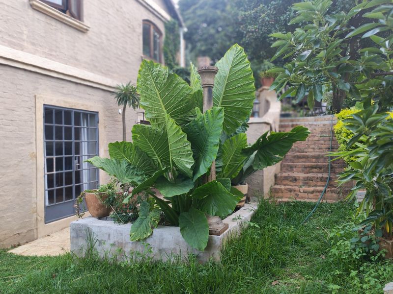 Stunning Modern Double-Storey Home with 3 OR 4 Bedrooms, One Bedroom Flat and a Beautiful Pool - Photo 3