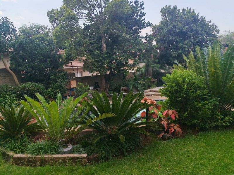 Stunning Modern Double-Storey Home with 3 Bedrooms, 2 Bathrooms and a Beautiful Pool - Photo 6
