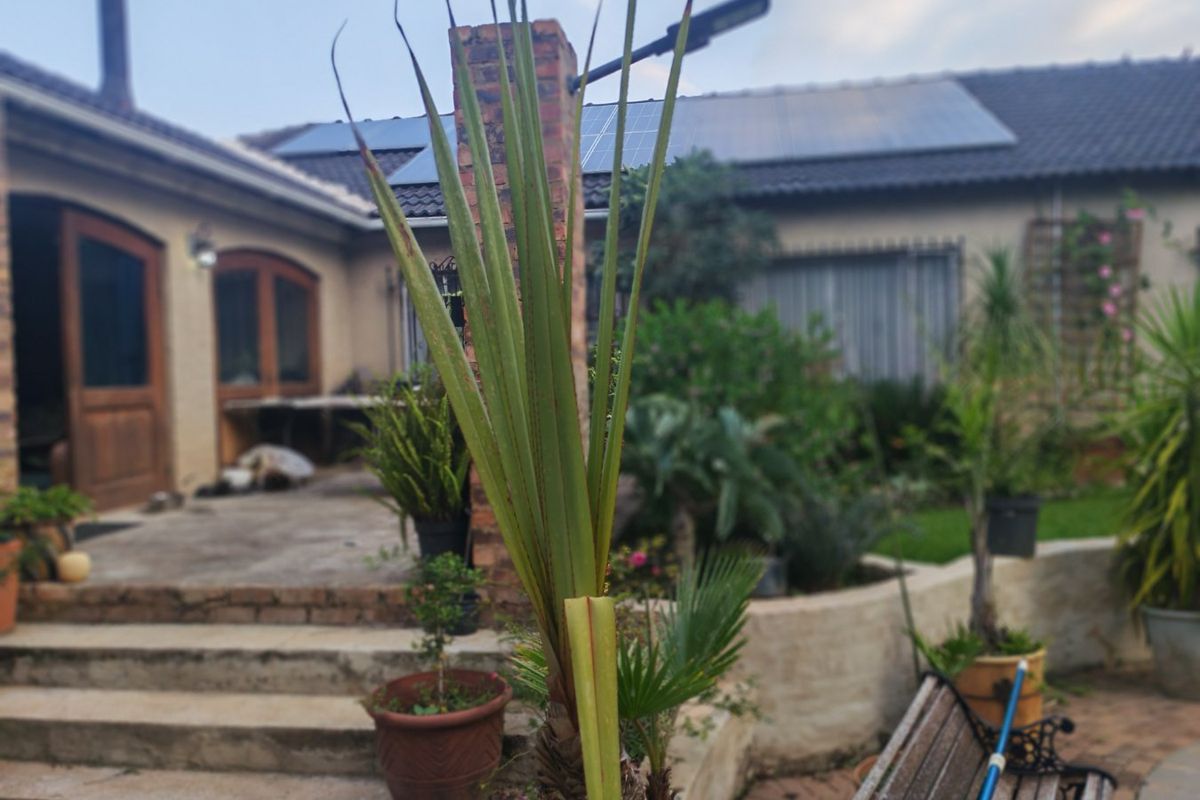 Stunning Modern Double-Storey Home with 3 Bedrooms, 2 Bathrooms and a Beautiful Pool - Photo 4