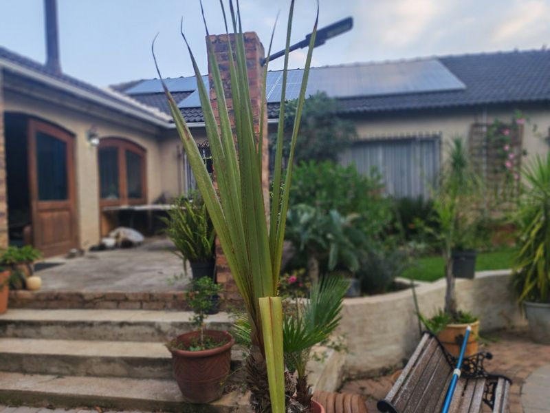 Stunning Modern Double-Storey Home with 3 OR 4 Bedrooms, One Bedroom Flat and a Beautiful Pool - Photo 10