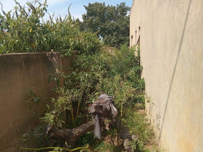 RDP HOUSE FOR SALE - Photo 8