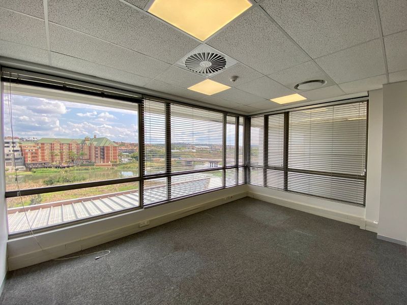 A bright, empty office space featuring large windows with venetian blinds, a suspended ceiling with recessed lighting, and carpeted flooring.