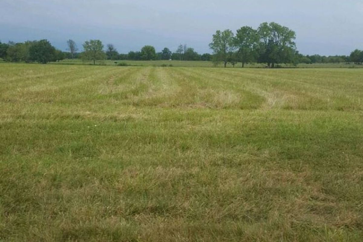A wide, open grassy field featuring mature trees in the distance, suitable for residential development.