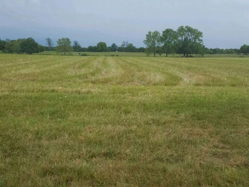 A wide, open grassy field featuring mature trees in the distance, suitable for residential development.