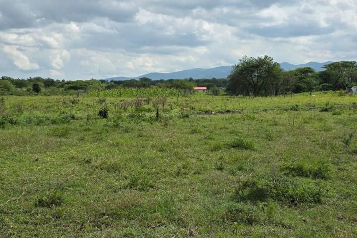 A wide, open plot of vacant residential land featuring natural grassland and distant mountain views.