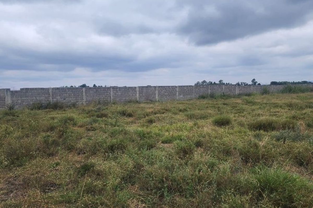 A vacant residential plot featuring natural grass coverage and a perimeter boundary wall under an overcast sky.