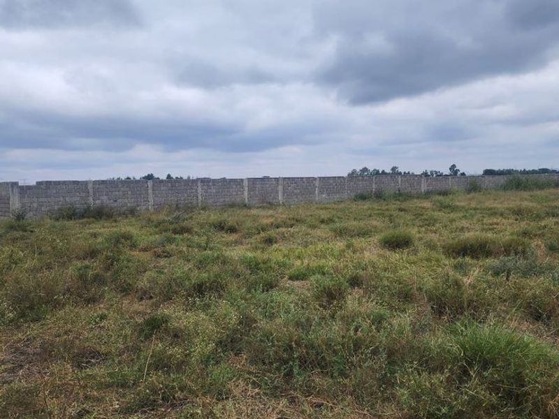 A vacant residential plot featuring natural grass coverage and a perimeter boundary wall under an overcast sky.