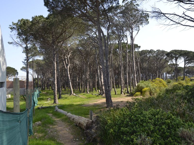 Build Your Dream Family Lifestyle at StonePine Place | Somerset Lakes Estate - Photo 4