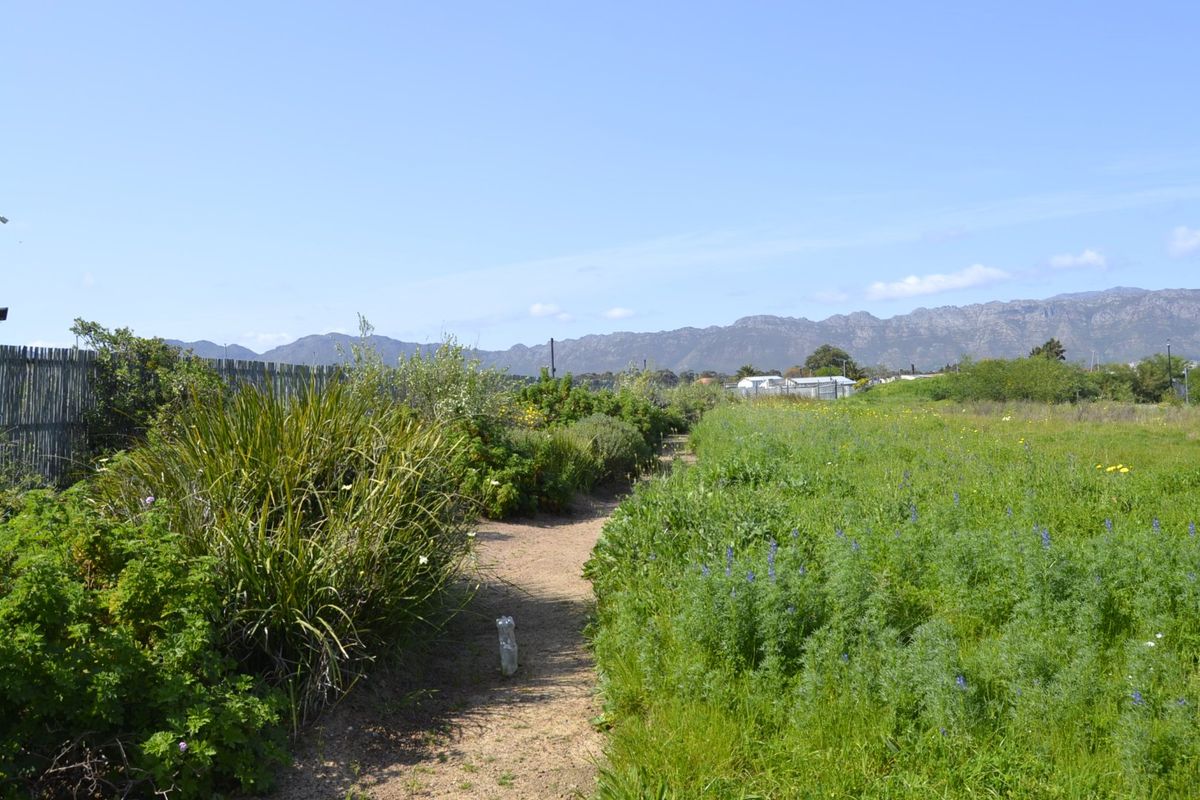 Build Your Dream Family Lifestyle at StonePine Place | Somerset Lakes Estate - Photo 5