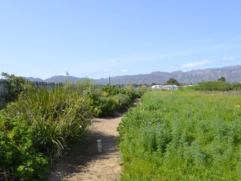 Build Your Dream Family Lifestyle at StonePine Place | Somerset Lakes Estate - Photo 5