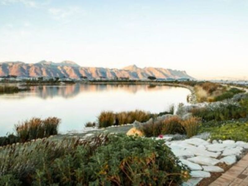 Build Your Dream Family Lifestyle at StonePine Place | Somerset Lakes Estate - Photo 10