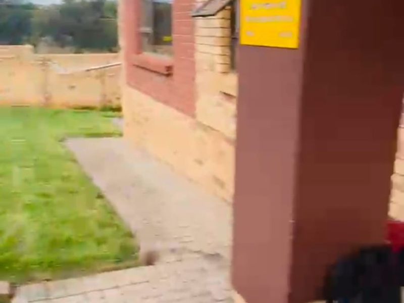 Stylish Family Haven in a Prime Location! !!!! - Photo 3