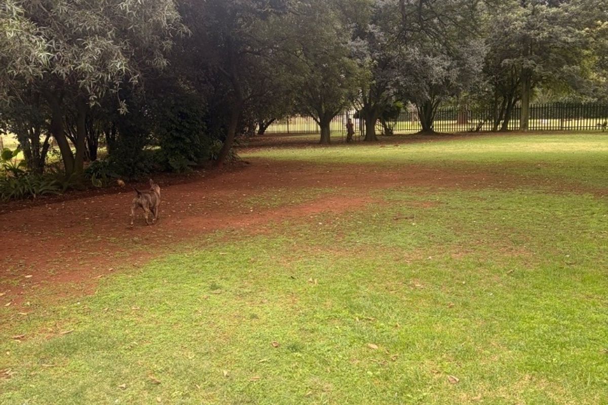 ?? STUNNING 2-HECTARE PLOT FOR SALE ?? Space, Comfort & Endless Potential!  This beautiful and well-maintained ±2-hectare plot offers the perfect blend of peaceful country living and modern convenience — ideal for families, small-scale farming, or anyone looking for extra space.  ?? Property Features: • Spacious 4-bedroom home • Well-kept interiors with a warm, homely feel • Large yards – perfect for kids, pets & outdoor living • Workshop – ideal for business, storage, or hobbies • Plenty of space for livestock or small farming activities  ?? Why You’ll Love This Property: • Located in a good, sought-after area • Peaceful surroundings with room to grow • Perfect for self-sustainable living or investment • Endless potential to expand or develop  ? Whether you’re looking to escape the city, start a small farm, or simply enjoy wide open space — this property ticks all the boxes! - Photo 3