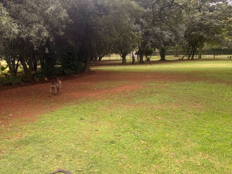 ?? STUNNING 2-HECTARE PLOT FOR SALE ?? Space, Comfort & Endless Potential!  This beautiful and well-maintained ±2-hectare plot offers the perfect blend of peaceful country living and modern convenience — ideal for families, small-scale farming, or anyone looking for extra space.  ?? Property Features: • Spacious 4-bedroom home • Well-kept interiors with a warm, homely feel • Large yards – perfect for kids, pets & outdoor living • Workshop – ideal for business, storage, or hobbies • Plenty of space for livestock or small farming activities  ?? Why You’ll Love This Property: • Located in a good, sought-after area • Peaceful surroundings with room to grow • Perfect for self-sustainable living or investment • Endless potential to expand or develop  ? Whether you’re looking to escape the city, start a small farm, or simply enjoy wide open space — this property ticks all the boxes! - Photo 3