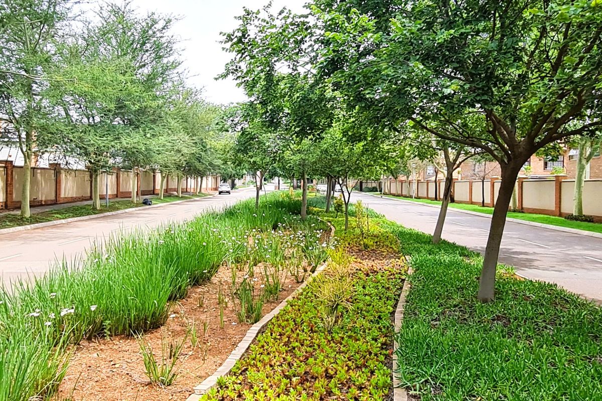 Modern Living in the sought-after Pebble Lane Complex - Photo 2