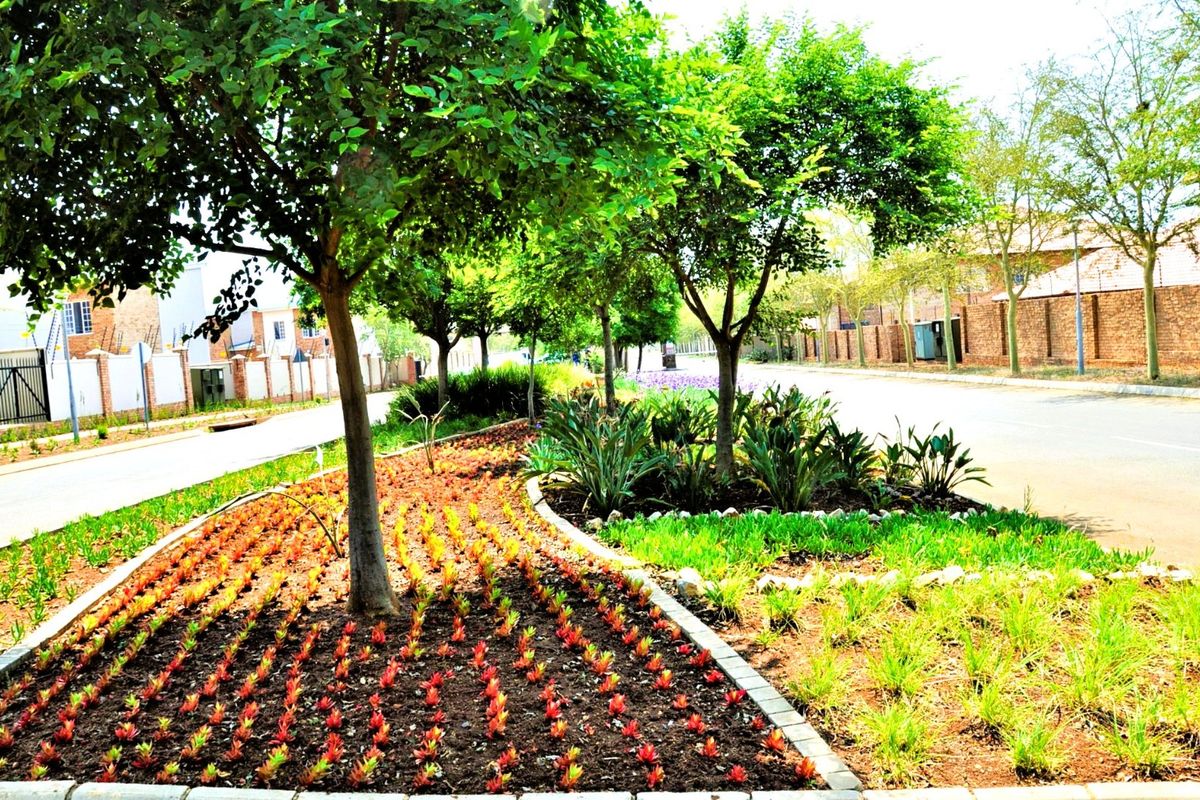 Modern Living in the sought-after Pebble Lane Complex - Photo 5