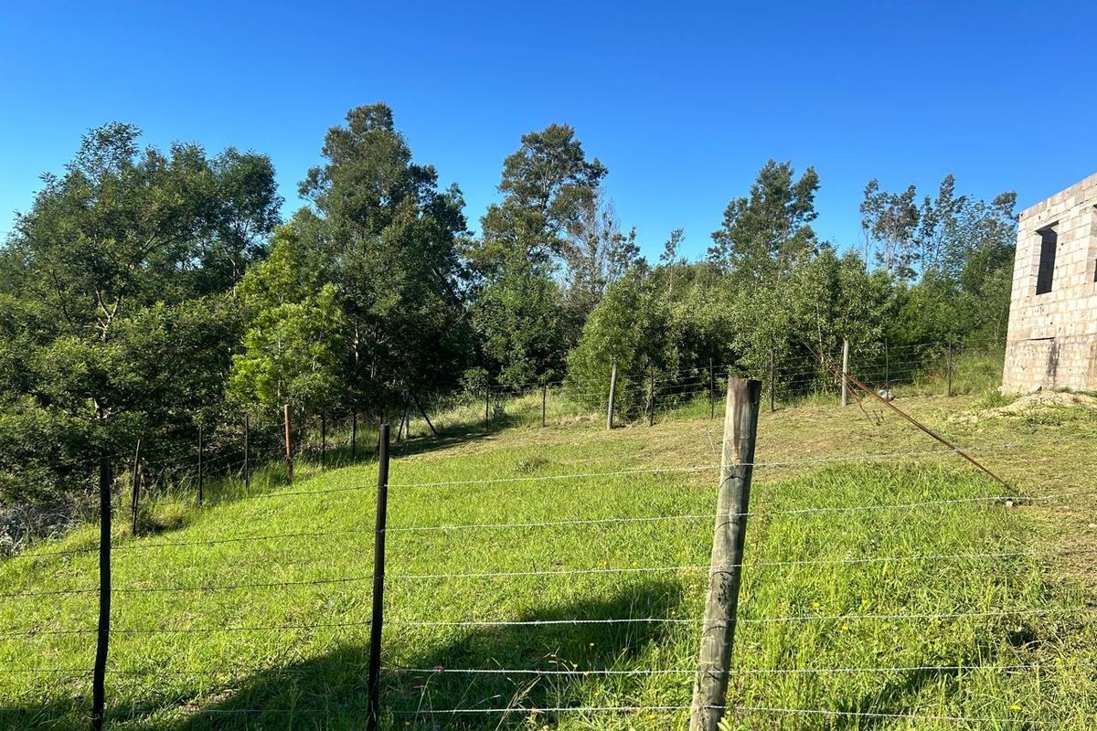 INVESTMENT OPPORTUNITY – HISTORIC VILLAGE OF FRIEMERSHEIM - Photo 5