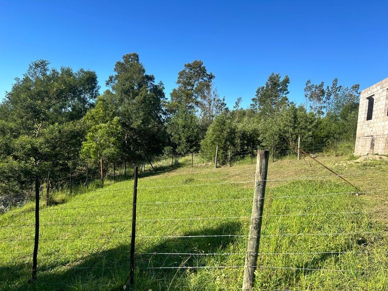 INVESTMENT OPPORTUNITY – HISTORIC VILLAGE OF FRIEMERSHEIM - Photo 5