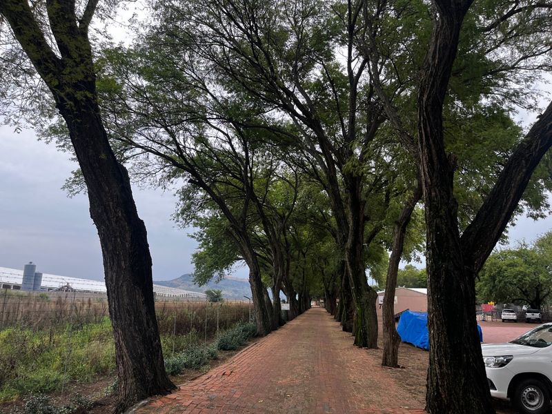 High-Exposure Commercial Property To Let – Ideal for Logistics & Warehousing! - Photo 8