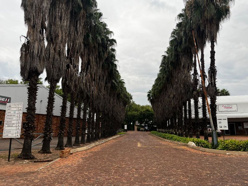 High-Exposure Commercial Property To Let – Ideal for Logistics & Warehousing! - Photo 6