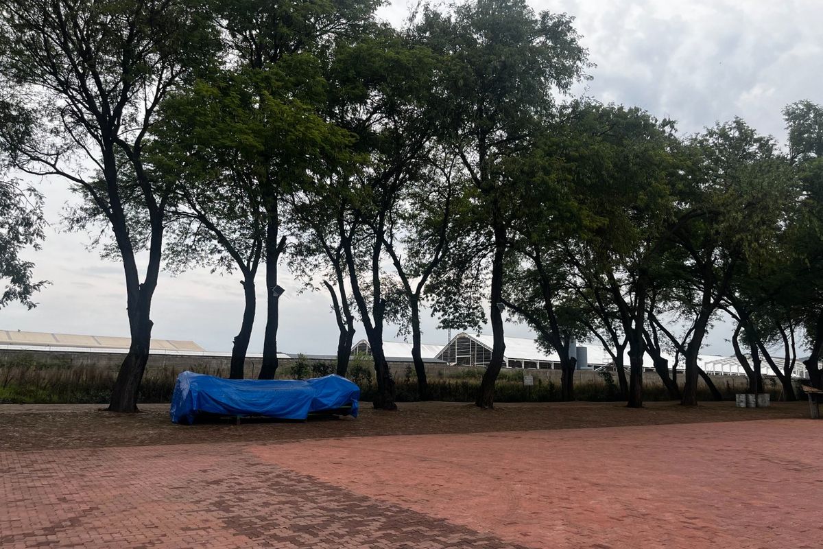 A spacious outdoor paved courtyard area featuring mature trees and a perimeter wall, suitable for commercial use or outdoor storage.