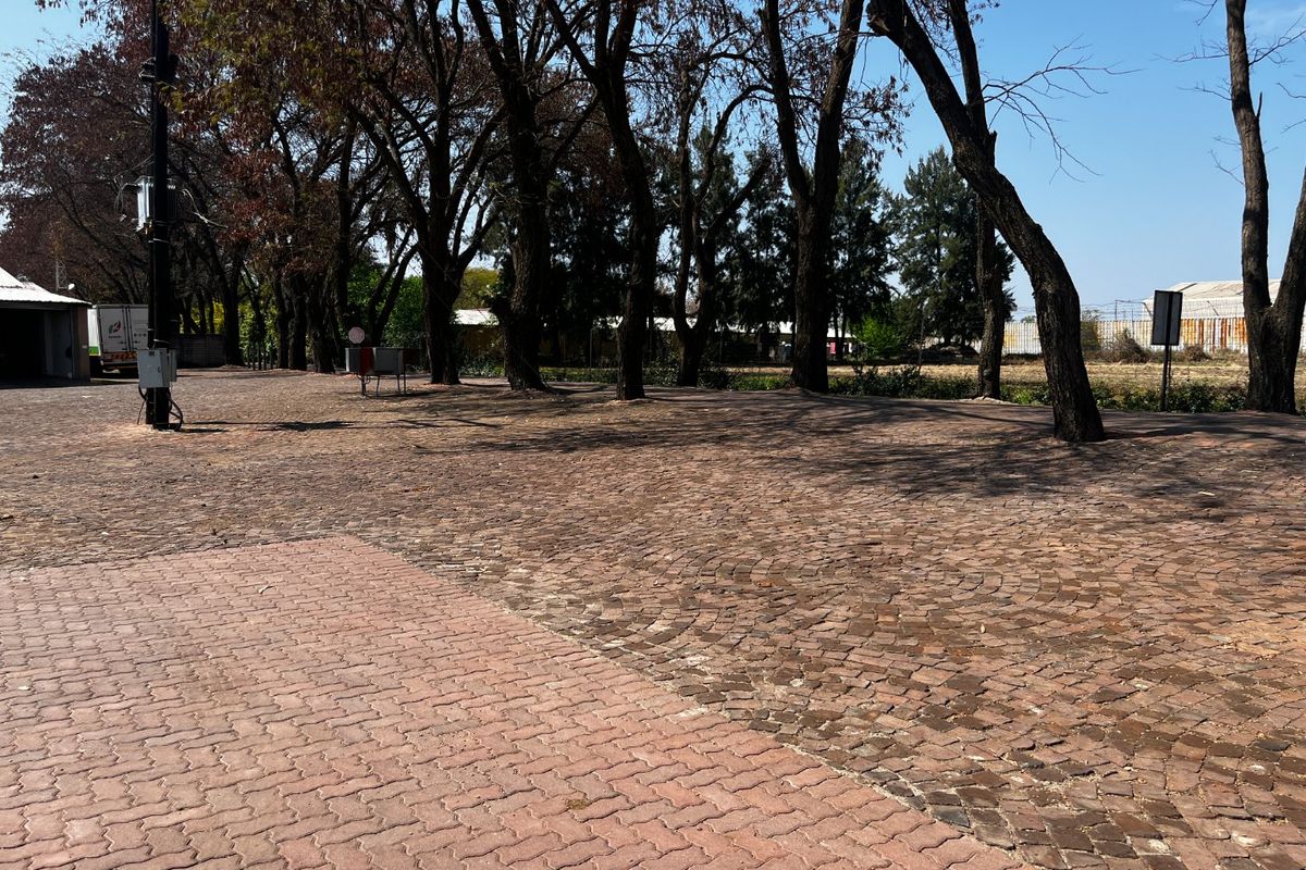 An outdoor area featuring a mix of cobblestone and interlocking brick paving surrounded by mature trees.
