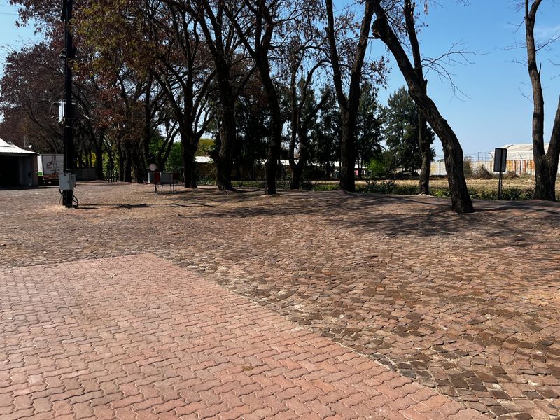 An outdoor area featuring a mix of cobblestone and interlocking brick paving surrounded by mature trees.
