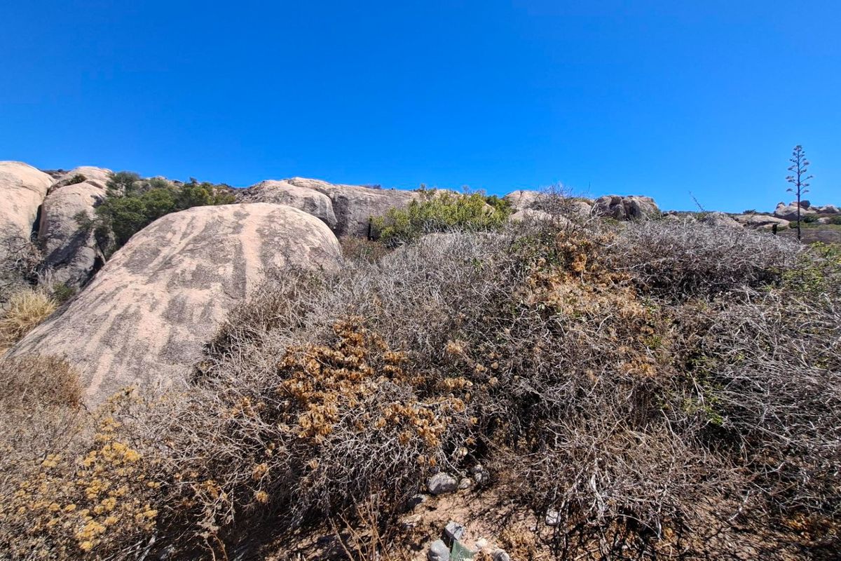 A view of the natural landscape featuring large rock formations and native scrub vegetation on the vacant residential property.