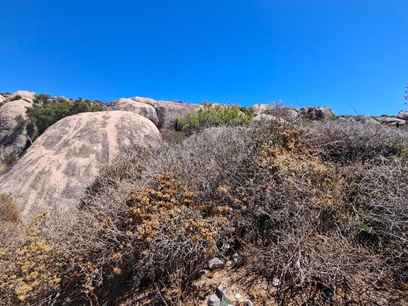 A view of the natural landscape featuring large rock formations and native scrub vegetation on the vacant residential property.