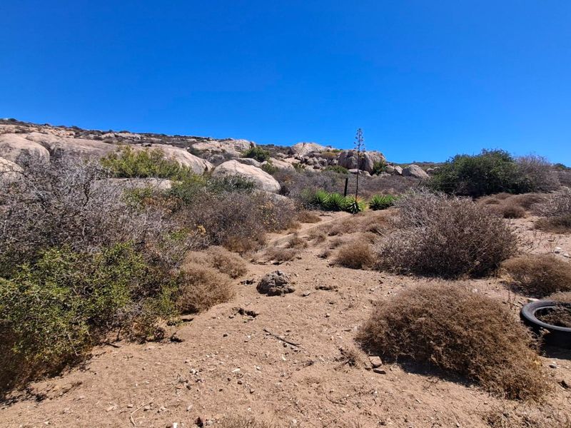 A view of the vacant residential land featuring natural rock formations and native desert vegetation under a clear blue sky.