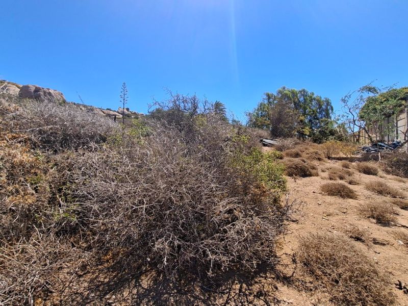 A view of the sloped, undeveloped residential land featuring natural vegetation and a partial view of an adjacent boundary wall.