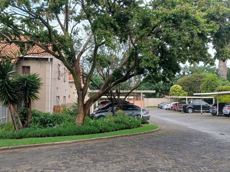 A Hidden Gem – Don’t Miss Out! - Photo 5