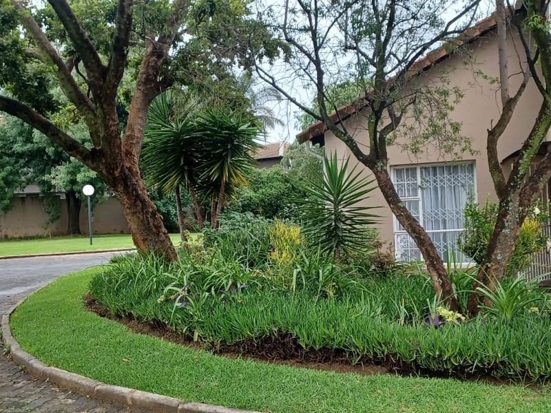 A Hidden Gem – Don’t Miss Out! - Photo 4