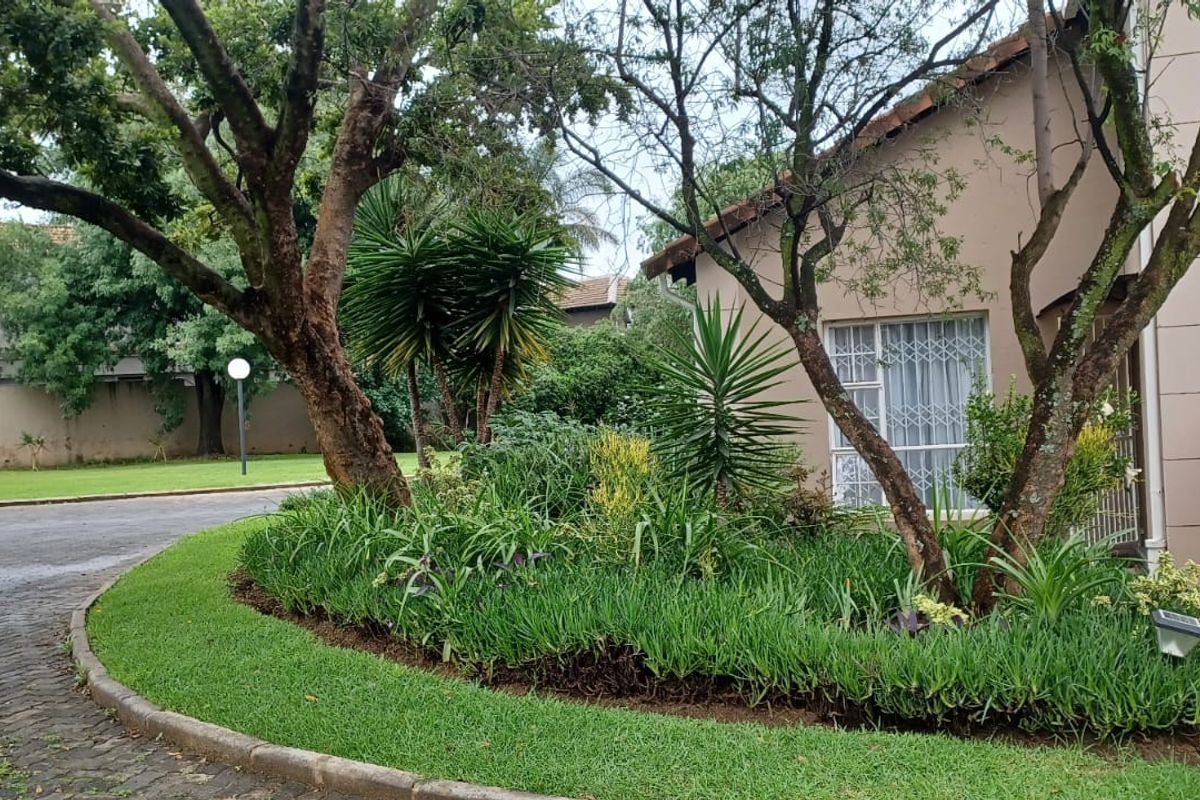 JUST RIGHT !! - Photo 4