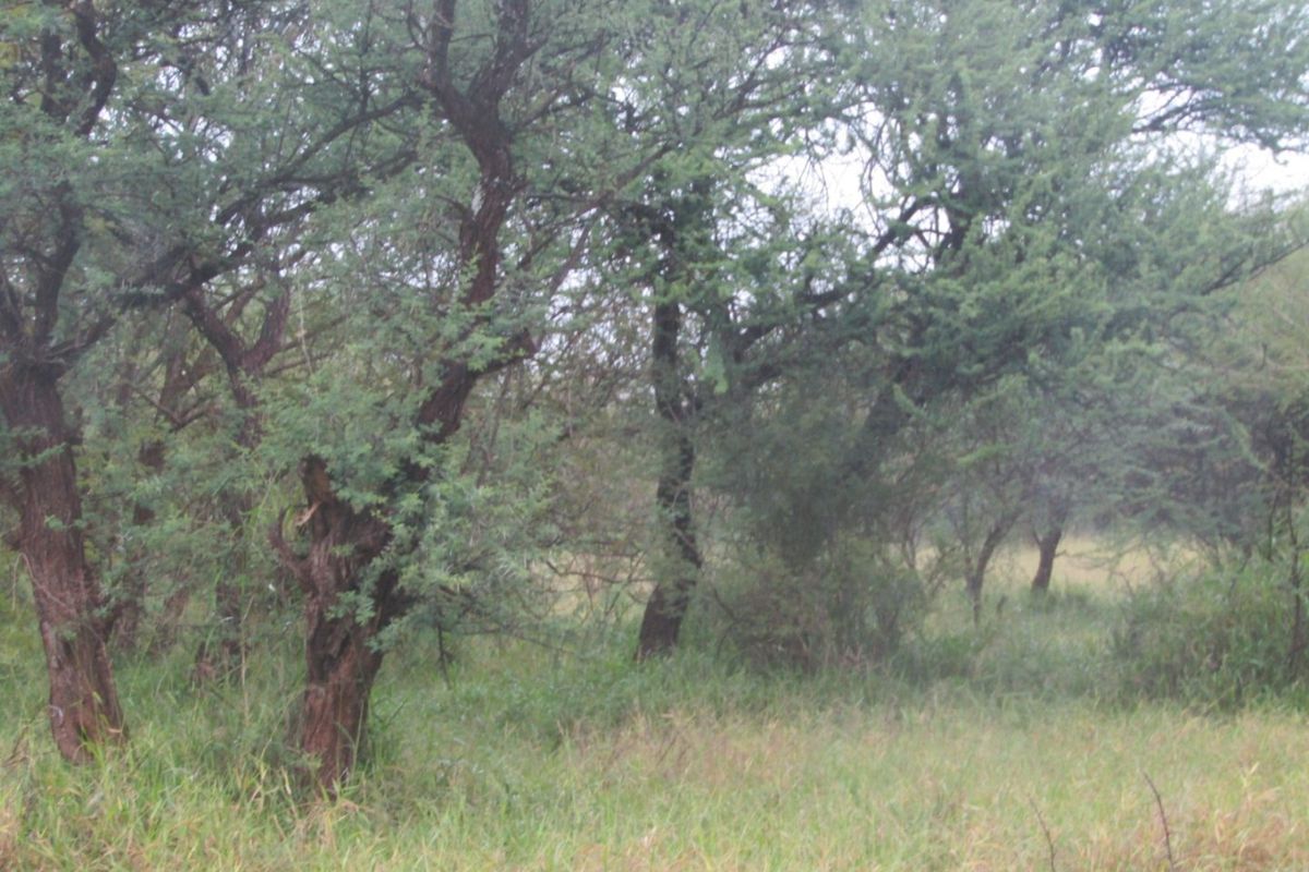 Vacant Land for Sale in Northam Wildebeeslaagte  - Photo 3