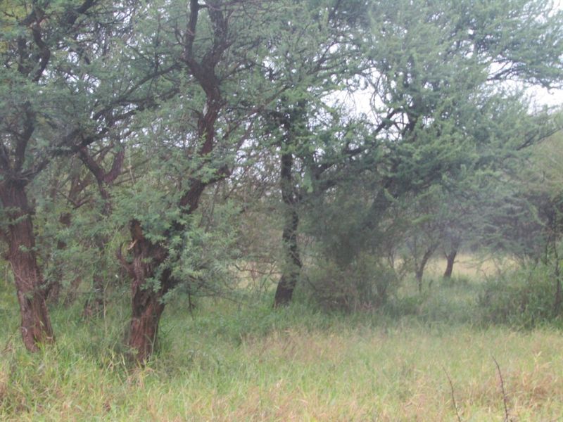 Vacant Land for Sale in Northam Wildebeeslaagte  - Photo 3
