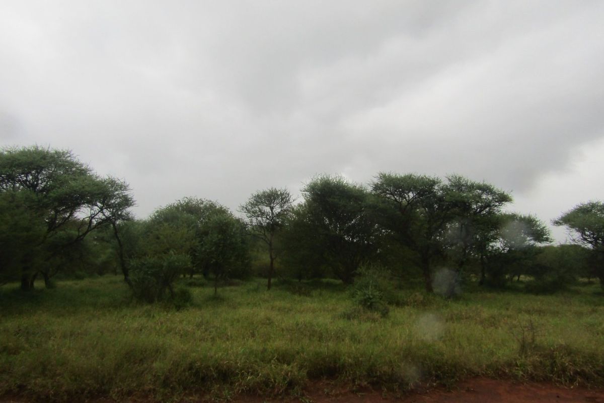 Vacant Land for Sale in Northam Wildebeeslaagte  - Photo 5