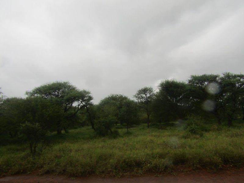 Vacant Land for Sale in Northam Wildebeeslaagte  - Photo 6