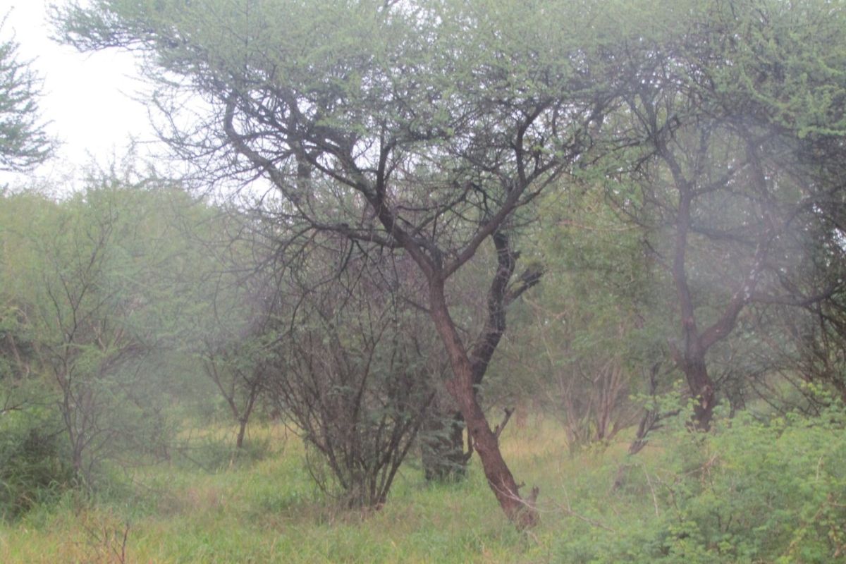 Vacant Land for Sale in Northam Wildebeeslaagte  - Photo 4