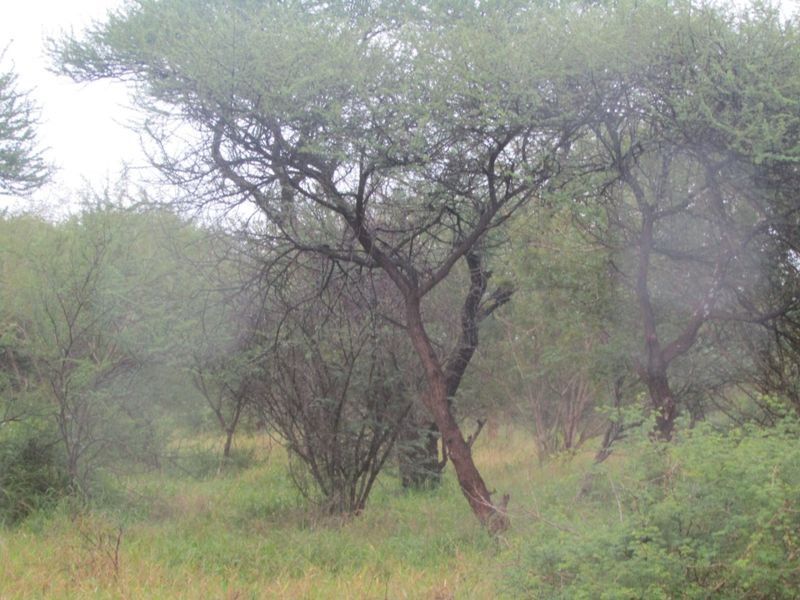 Vacant Land for Sale in Northam Wildebeeslaagte  - Photo 4