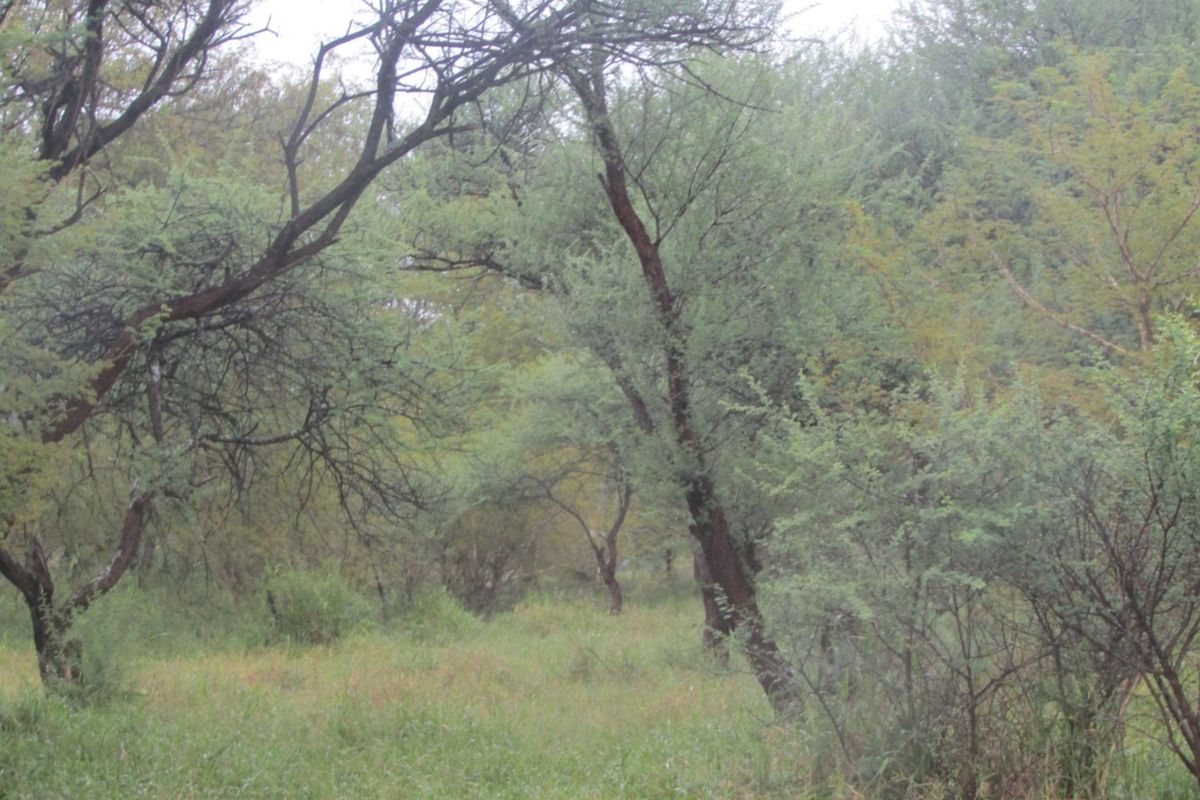 Vacant Land for Sale in Northam Wildebeeslaagte  - Photo 2