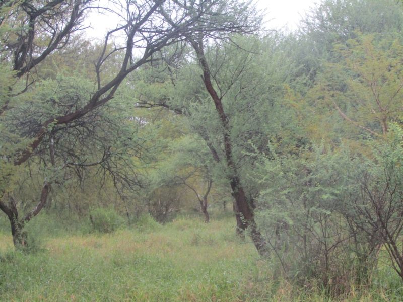 Vacant Land for Sale in Northam Wildebeeslaagte  - Photo 2