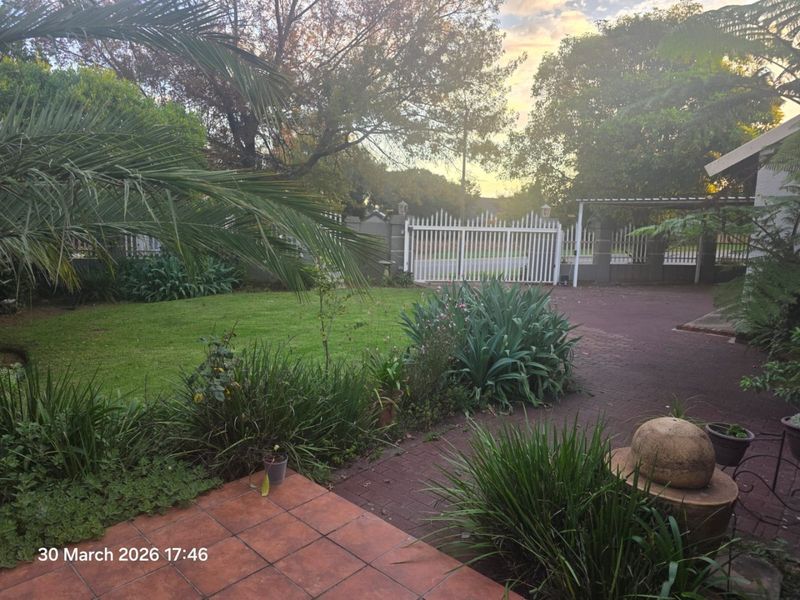 Spacious family home in Van Riebeeck Park to Rent - Photo 7