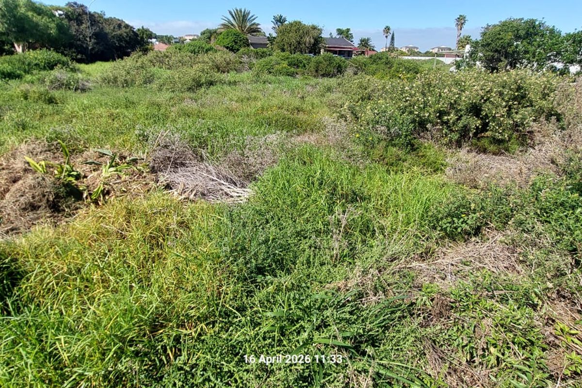 Vacant Stand in Aston Bay For Sale  - Photo 5