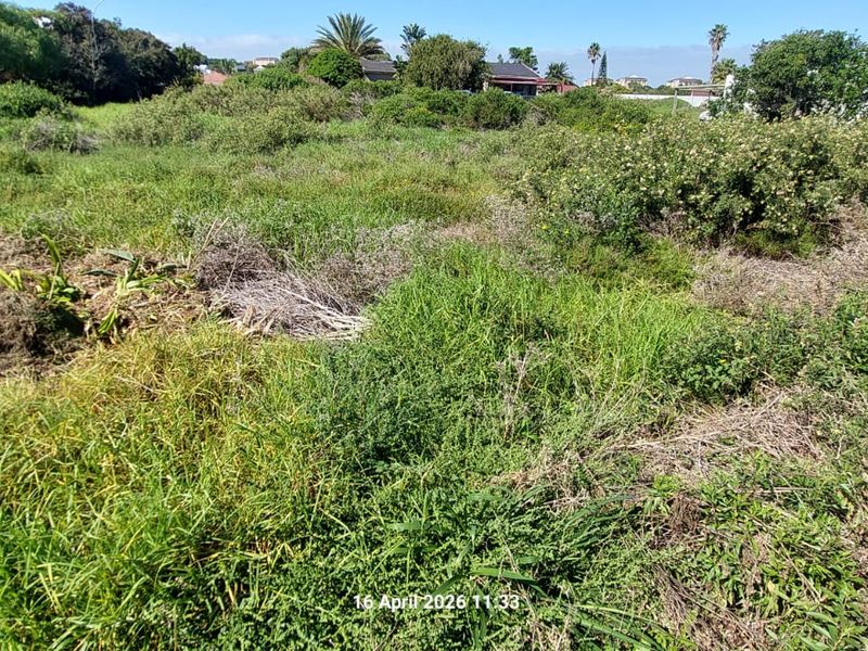 Vacant Stand in Aston Bay For Sale  - Photo 5